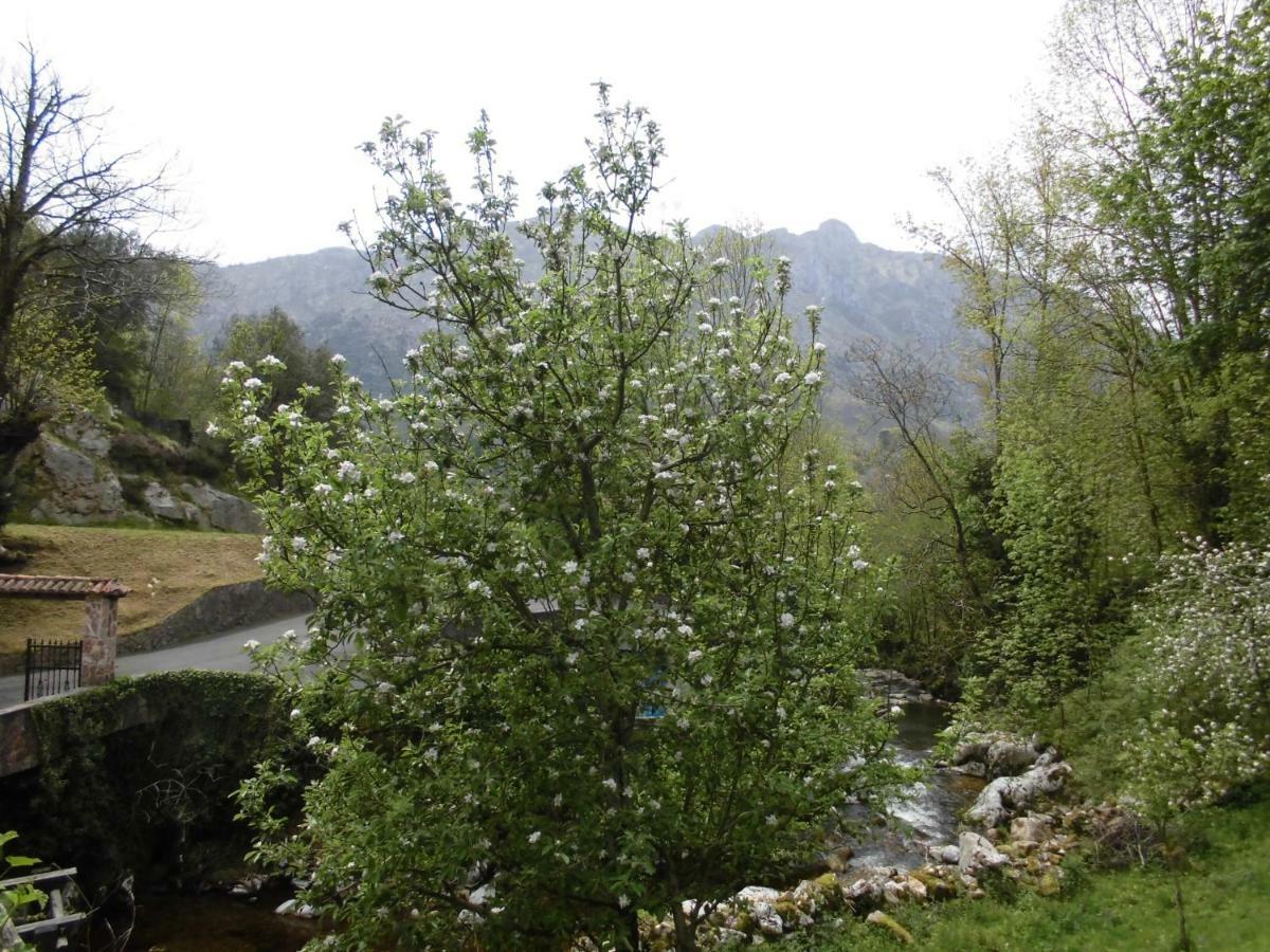 El Molino Hotell Arenas De Cabrales Eksteriør bilde