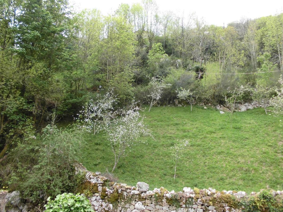 El Molino Hotell Arenas De Cabrales Eksteriør bilde
