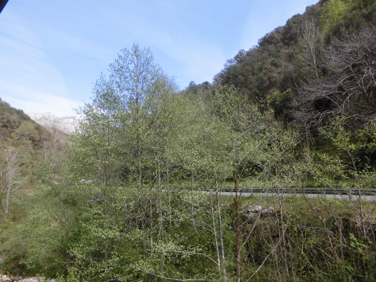 El Molino Hotell Arenas De Cabrales Eksteriør bilde